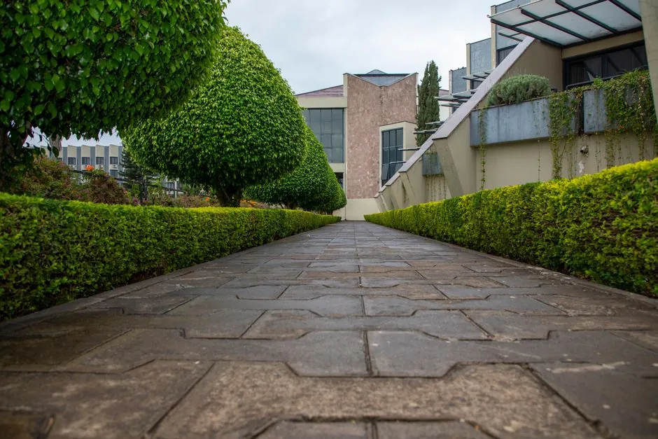 Plantations et allee en pierre