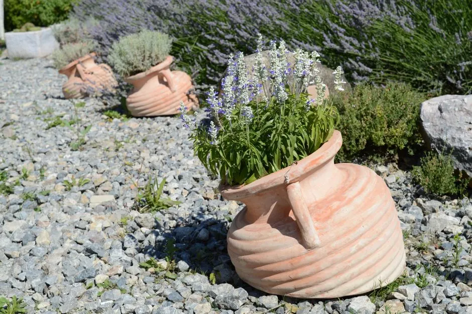 Jardin mediterraneen entretenu a Cannes par Cedric Jardins